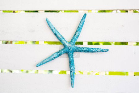 Photo for Starfish on wooden background - Royalty Free Image