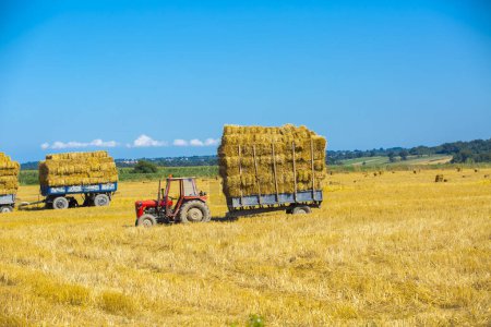 Photo for Tractor with balls of hay on an agriculture trailer. - Royalty Free Image
