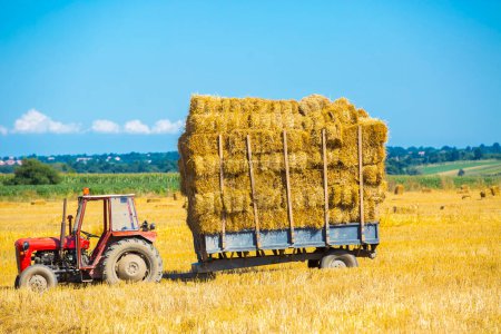 Téléchargez les photos : Tracteur avec balles de foin sur une remorque agricole
. - en image libre de droit