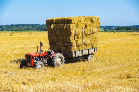 Téléchargez les photos : Tracteur avec balles de foin sur une remorque agricole
. - en image libre de droit