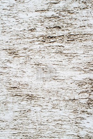 Foto de Grunge textura de fondo de pared blanca - Imagen libre de derechos