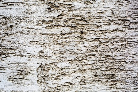 Photo for Grunge white wall background texture - Royalty Free Image