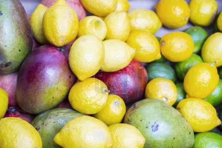 Téléchargez les photos : Citron naturel, Limes et mangues exposés dans le magasin. - en image libre de droit