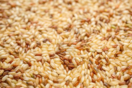 Photo for Integral, brown rice background texture - Royalty Free Image