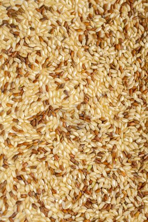 Téléchargez les photos : Texture intégrale de fond de riz brun - en image libre de droit