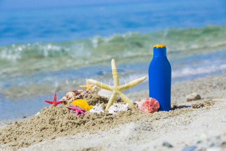 Téléchargez les photos : Seahells sur la côte de plage de sable fin - en image libre de droit