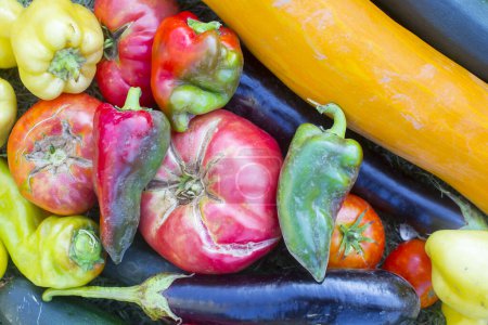 Téléchargez les photos : Gros plan sur les légumes frais biologiques - en image libre de droit