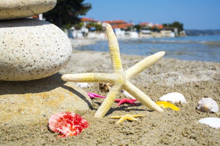 Foto de Estrella de mar en la costa de playa de arena - Imagen libre de derechos