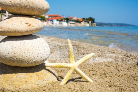 Téléchargez les photos : Étoile de mer sur la côte de plage de sable - en image libre de droit