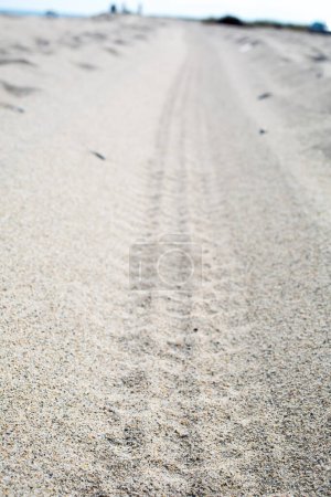 Photo for Tyre tracks on the sand of the beach - Royalty Free Image