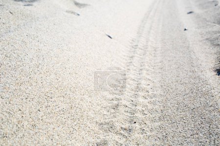 Téléchargez les photos : Pistes de pneus sur le sable de la plage - en image libre de droit