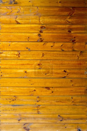 Foto de Textura marrón de madera vieja con nudo - Imagen libre de derechos