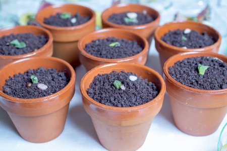 Téléchargez les photos : Petite plante en pots sur la table - en image libre de droit