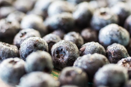 Photo for Set of sweet and tasty blueberries - Royalty Free Image