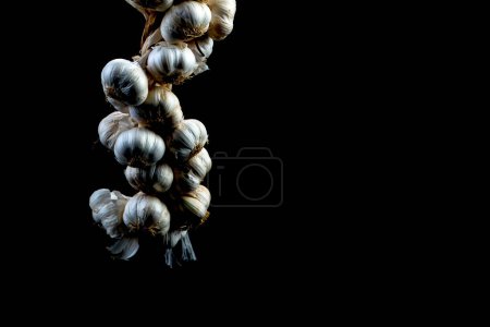Photo for Garlic bundle on the black isolated background - Royalty Free Image