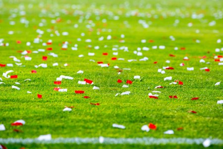 Téléchargez les photos : Confettis colorés sur un gazon de stade - en image libre de droit
