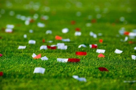 Foto de Colorido confeti en un estadio de hierba - Imagen libre de derechos
