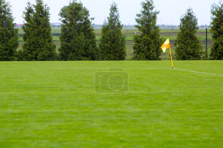 Photo for Soccer field on a summer day - Royalty Free Image