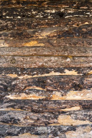 Foto de La textura marrón de madera vieja - Imagen libre de derechos