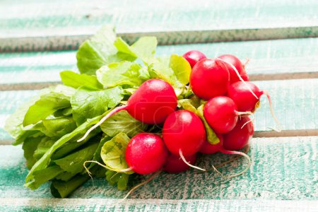 Photo for Bunch of fresh radishes on old wooden table wood - Royalty Free Image