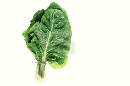 Photo for Lettuce leaves isolated on white background - Royalty Free Image