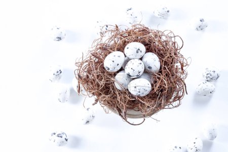 Photo for Quail eggs in nest on white background - Royalty Free Image