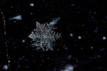 Foto de Copo de nieve macro foto sobre fondo negro. Macro foto de cristal de nieve real - Imagen libre de derechos