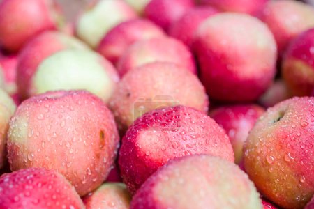 Foto de Manzanas dulces en gotas de agua - Imagen libre de derechos