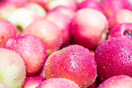 Foto de Manzanas dulces en gotas de agua - Imagen libre de derechos