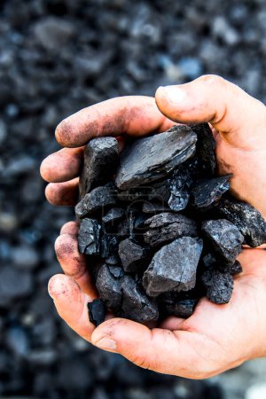 Foto de Carbón en manos humanas - Imagen libre de derechos