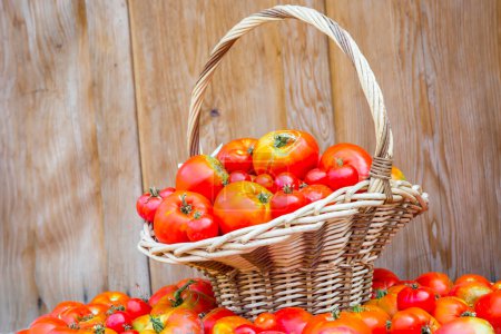 Téléchargez les photos : Tomates fraîches dans un panier en osier - en image libre de droit