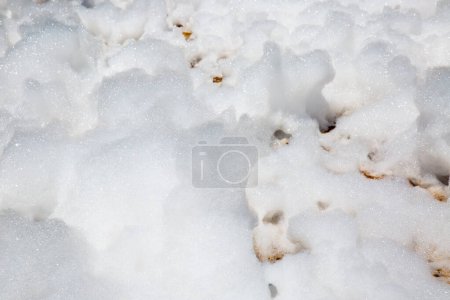 Photo for White snow background at winter - Royalty Free Image