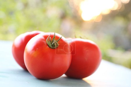Photo for Red tomatoes on the table - Royalty Free Image