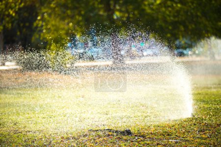 Photo for Sprayer for watering grass - Royalty Free Image