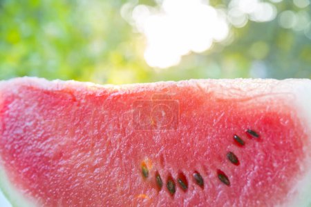 Photo for Slices of sweet organic watermelon - Royalty Free Image
