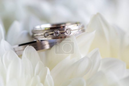 Téléchargez les photos : Anneaux de mariage en fleur close up - en image libre de droit