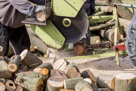 Téléchargez les photos : Scie circulaire coupe du bois pour l'hiver - en image libre de droit