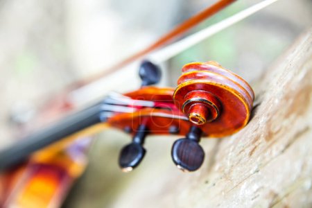 Photo for Beautiful classic violin close up - Royalty Free Image