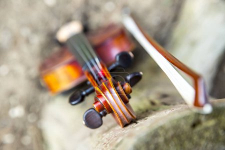 Foto de Hermoso violín clásico de cerca - Imagen libre de derechos