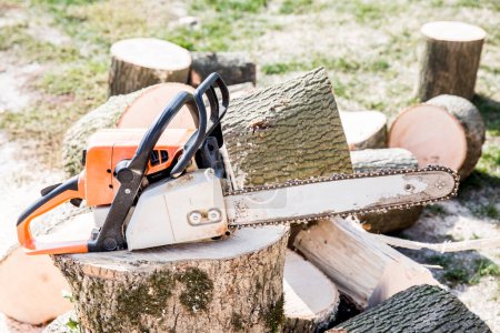 Téléchargez les photos : Couper le bois avec une scie à moteur - en image libre de droit