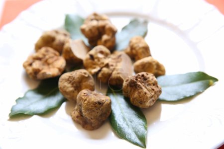 Téléchargez les photos : Délicieuses truffes aux feuilles sur assiette - en image libre de droit