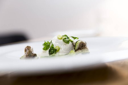 Foto de Sabroso plato con queso, berenjena, perejil y aceite de oliva - Imagen libre de derechos