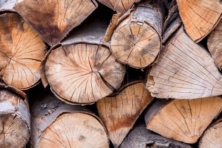Téléchargez les photos : Morceaux de bois stockés - en image libre de droit