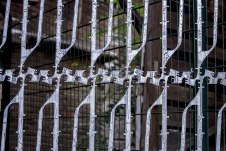 Téléchargez les photos : Gros plan de la clôture en métal forgé - en image libre de droit