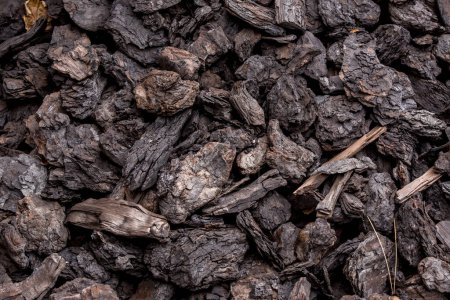 Foto de Trozos de lignito o carbón de una mina - Imagen libre de derechos