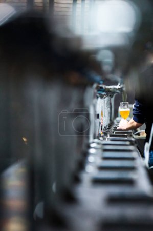 Téléchargez les photos : Personne versant de la bière dans un verre - en image libre de droit