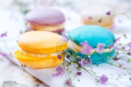 Téléchargez les photos : Macarons français colorés avec des fleurs - en image libre de droit