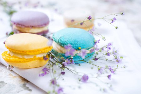 Photo for Colorful French Macaroons with flowers - Royalty Free Image