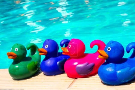 Téléchargez les photos : Canards en caoutchouc colorés à la piscine - en image libre de droit