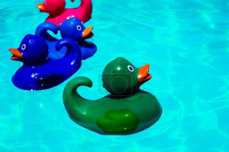 Téléchargez les photos : Canards en caoutchouc colorés à la piscine - en image libre de droit
